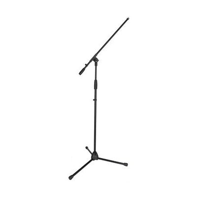 Microfoonstandaarden