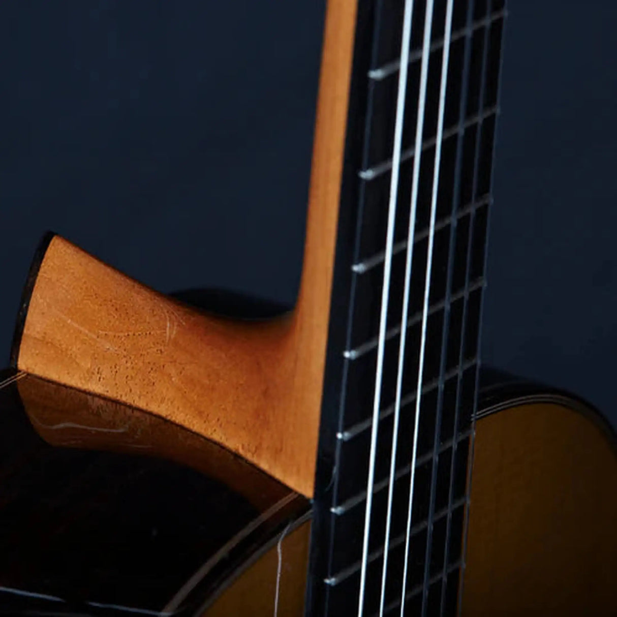 Alhambra José Miguel Moreno Serie C concertgitaar, massief ceder, massief Indiaas palissander