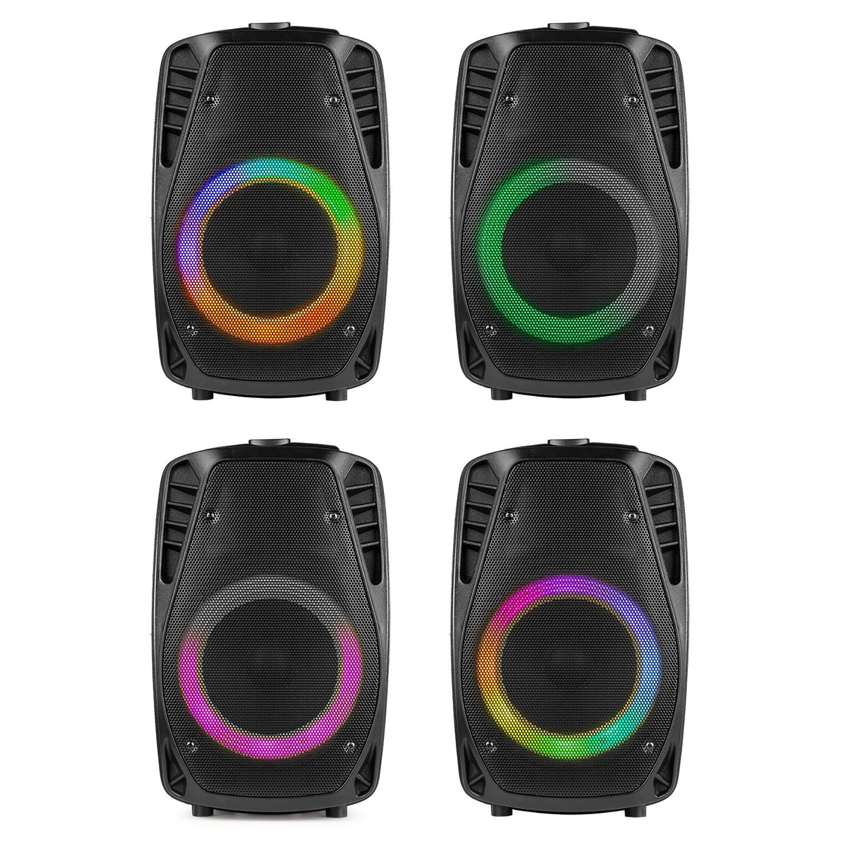 Fenton FT8LED-MK2 Draagbaar geluidssysteem 8"