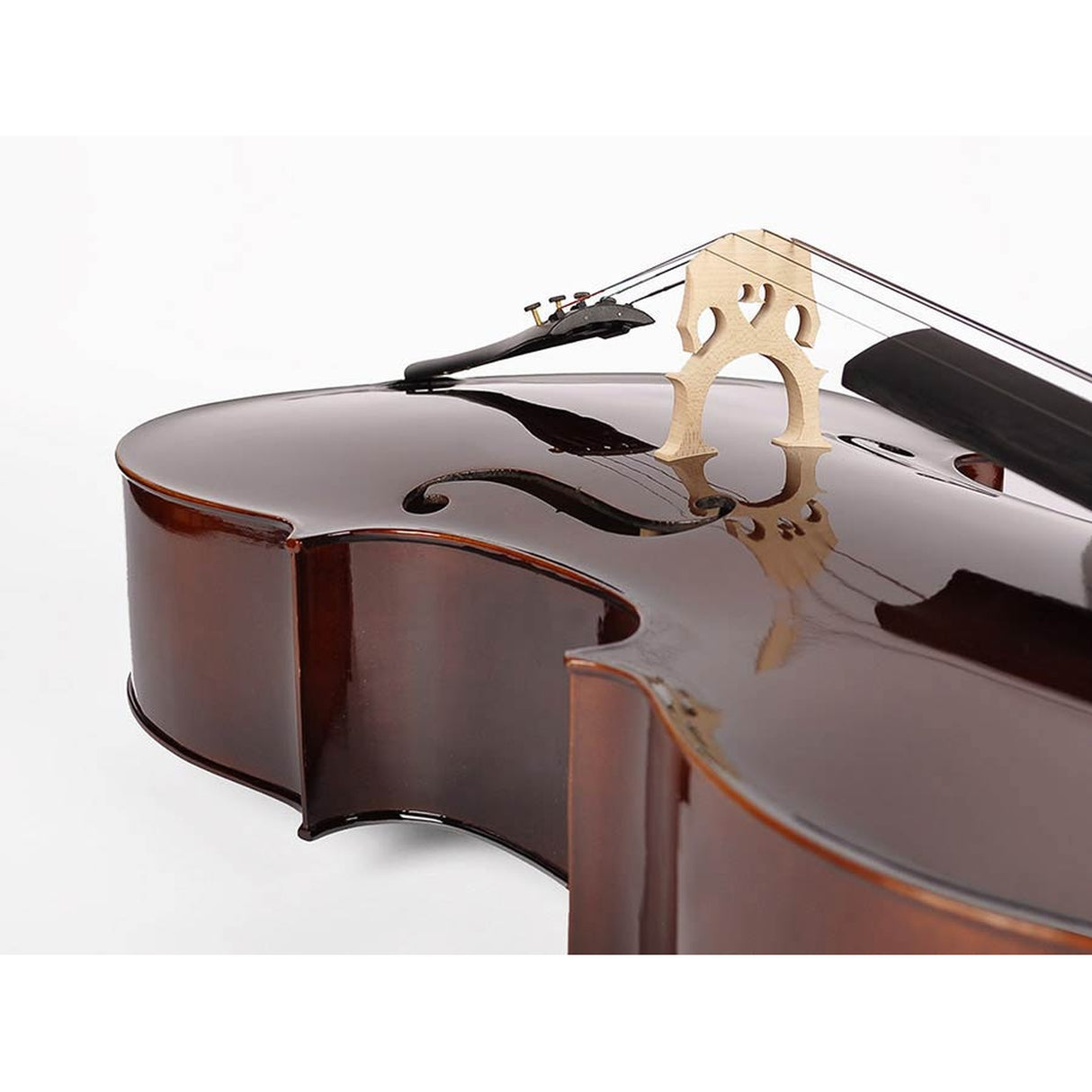 Leonardo LC-2010 cello set 1/10, geheel massief, nitro, ebben toebehoren, inclusief tas en strijkstok
