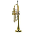 Stewart Ellis SE-1900-L Pro Series C-trompet messing lak incl. softcase