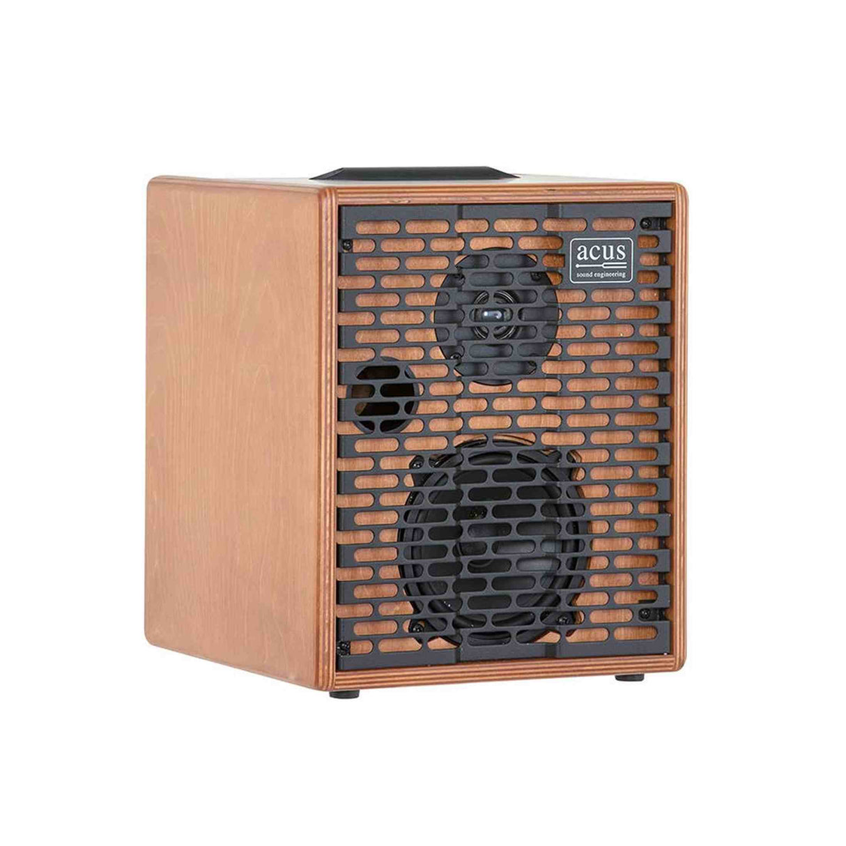 Acus OFS-5 versterker voor akoestische instrumenten 40W 2 kanalen
