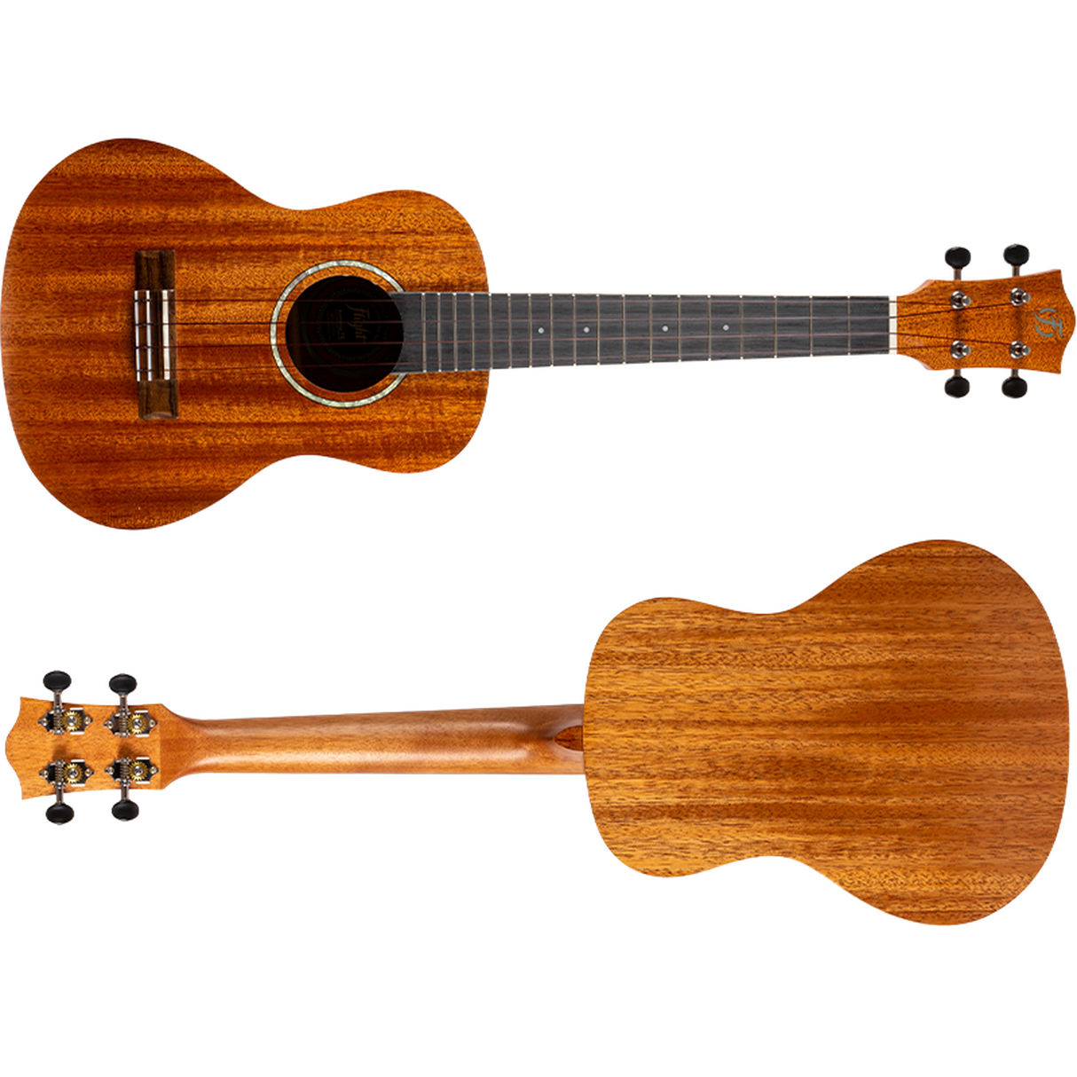Flight ALMANTTEQ Antonia Tenor Electro Ukulele