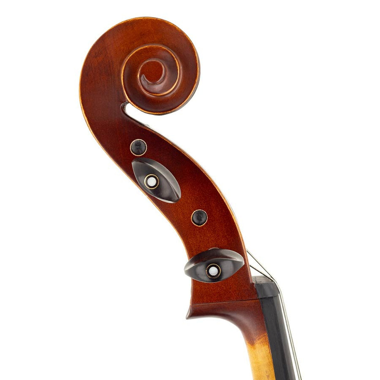 Leonardo LC-1344 cello 4/4, gelamineerd met gevlamde achterkant en zijkanten, ebbenhouten beslag, tas en strijkstok