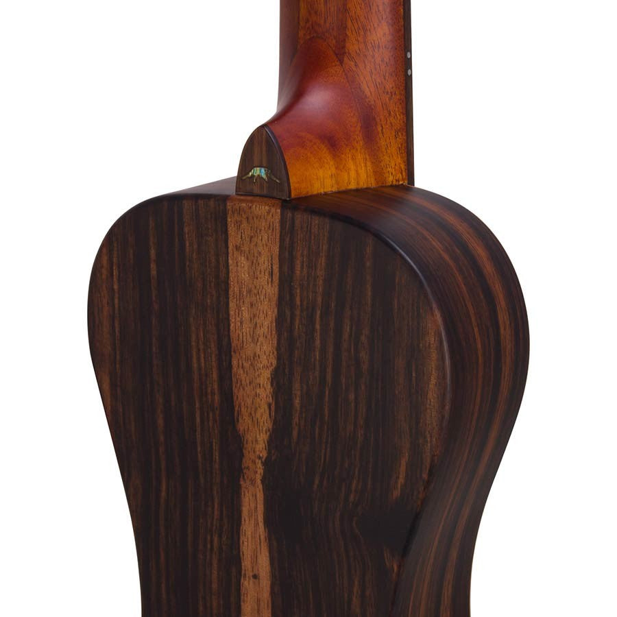 Bromo BAR3E Rocky Mountain Series reisgitaar semi akoestische western gitaar