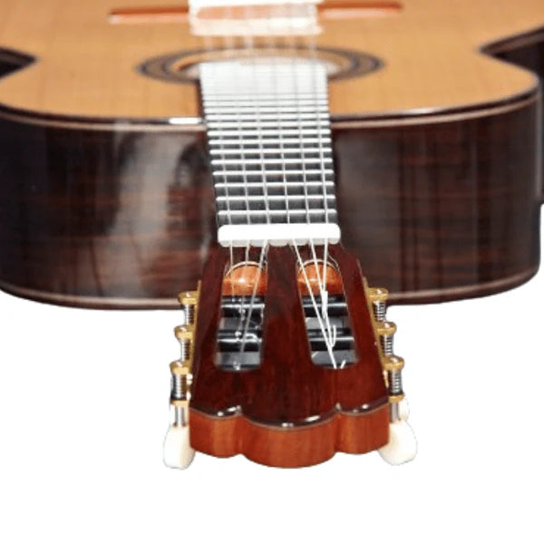 Alhambra José Miguel Moreno Serie C concertgitaar, massief ceder, massief Indiaas palissander