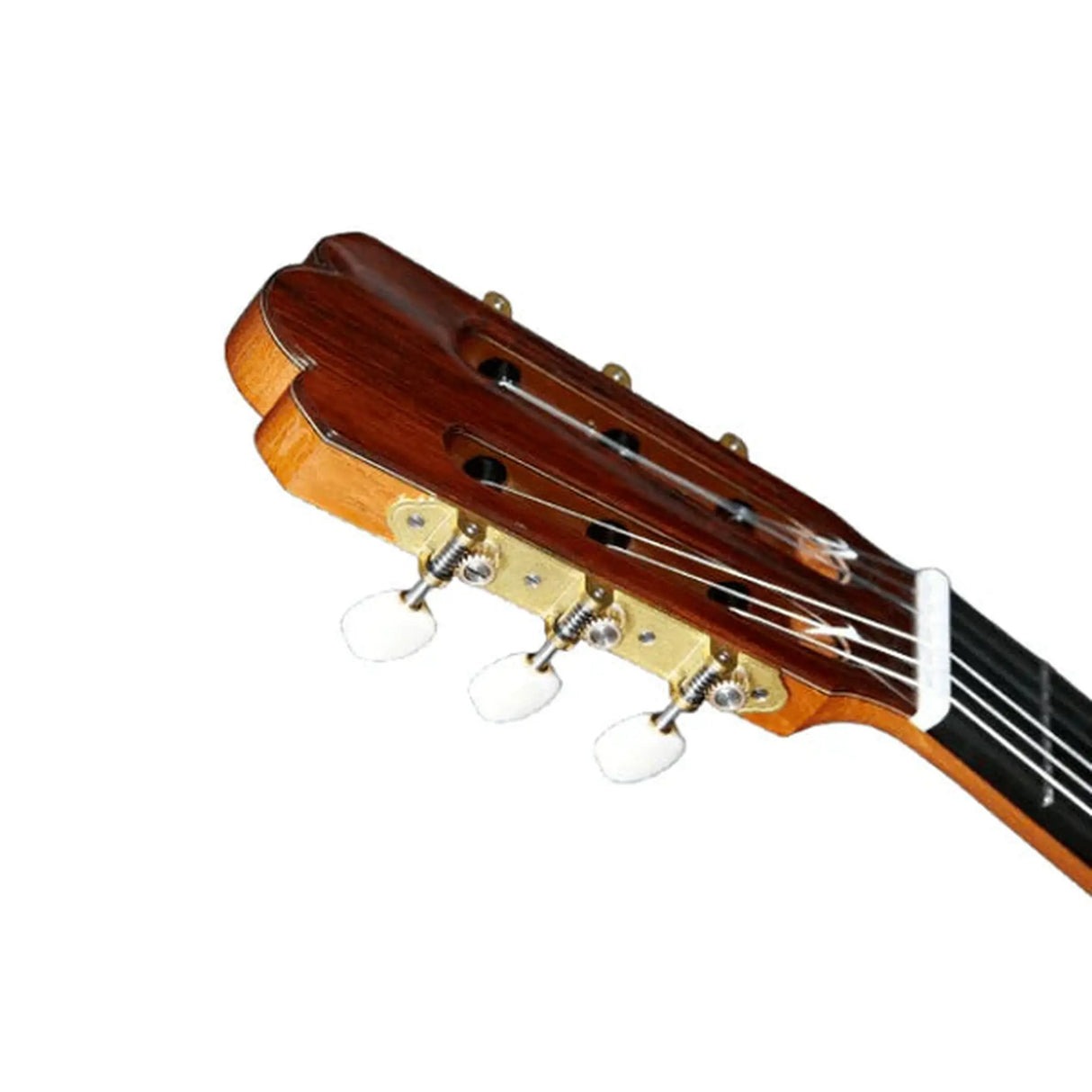 Alhambra José Miguel Moreno Serie C concertgitaar, massief ceder, massief Indiaas palissander