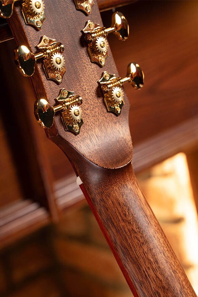 Cort Gold-A10 Cocobolo – Massief AAA Cocobolo, Torrefied Adirondack & Fishman Flex Blend