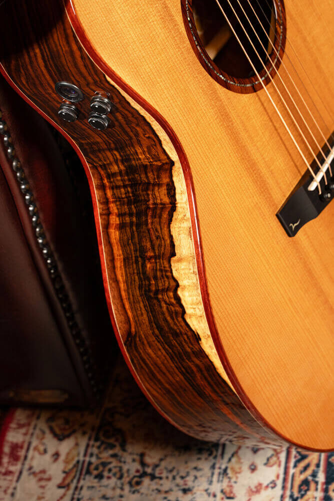 Cort Gold-A10 Cocobolo – Massief AAA Cocobolo, Torrefied Adirondack & Fishman Flex Blend