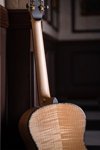 Cort Gold-Passion – Massief Flamed Maple, Engelmann Spruce & L.R. Baggs Anthem