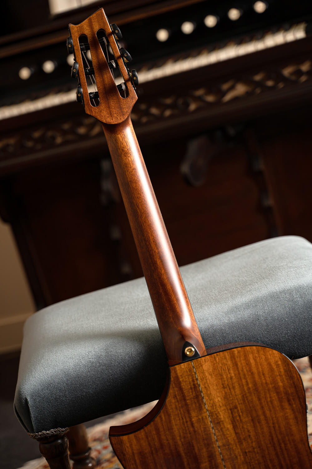 Cort Luxe Nylon Frank Gambale Signature – Massief Blackwood, Nylon Snaren & Fishman Flex Blend