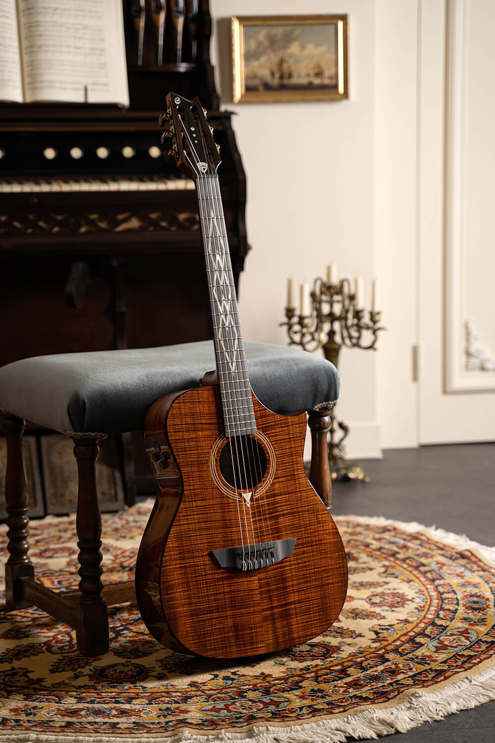 Cort Luxe Nylon Frank Gambale Signature – Massief Blackwood, Nylon Snaren & Fishman Flex Blend