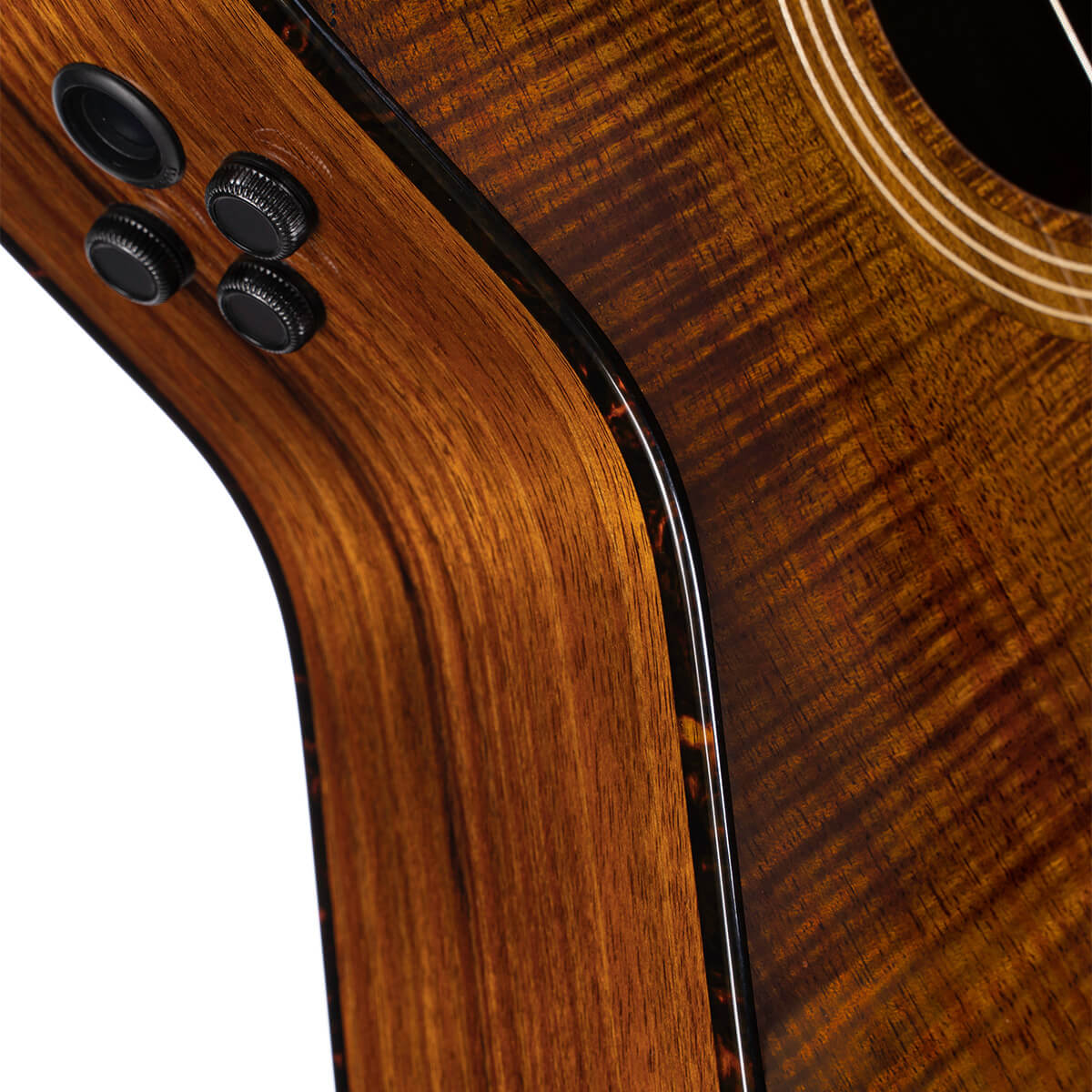 Cort Luxe Nylon Frank Gambale Signature – Massief Blackwood, Nylon Snaren & Fishman Flex Blend