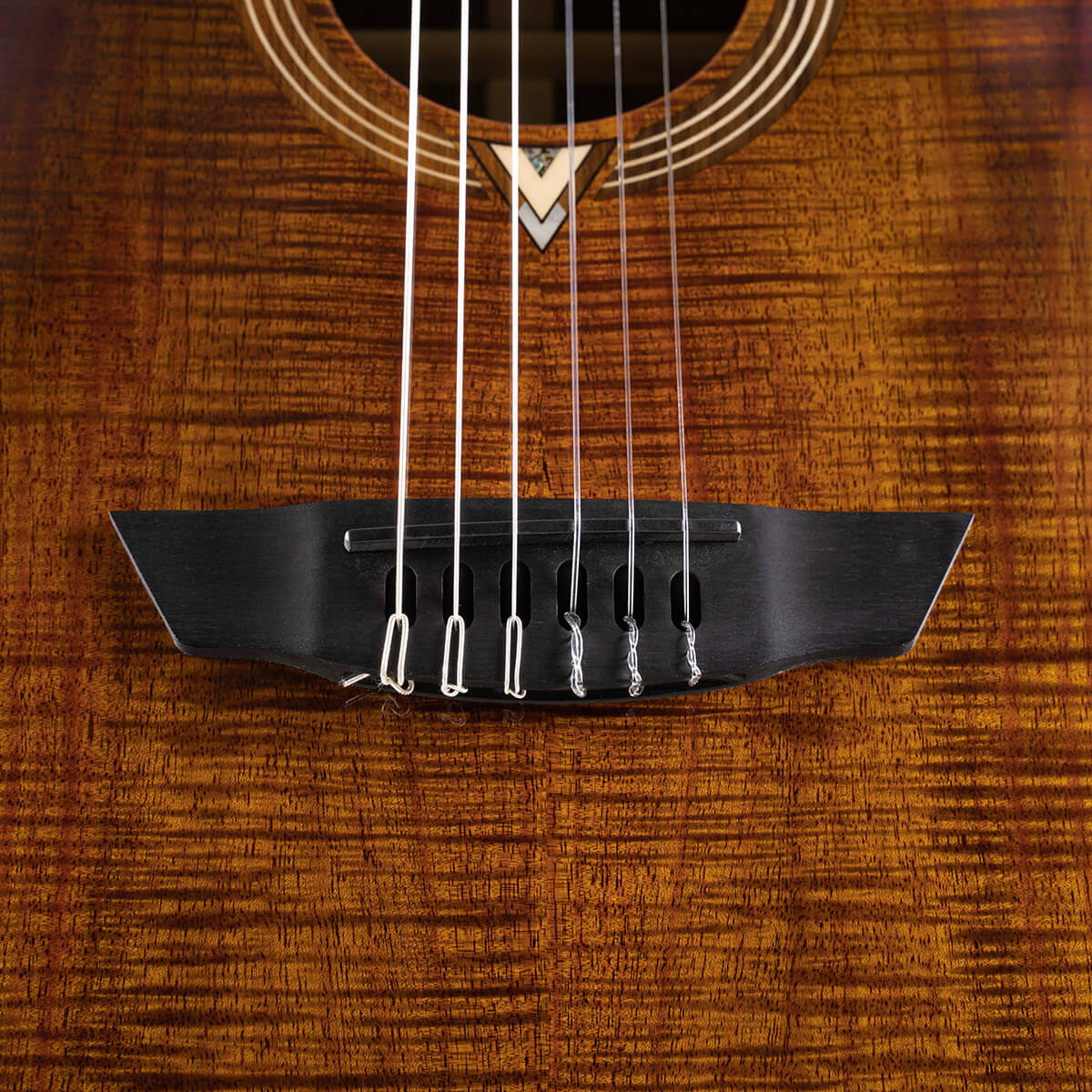 Cort Luxe Nylon Frank Gambale Signature – Massief Blackwood, Nylon Snaren & Fishman Flex Blend