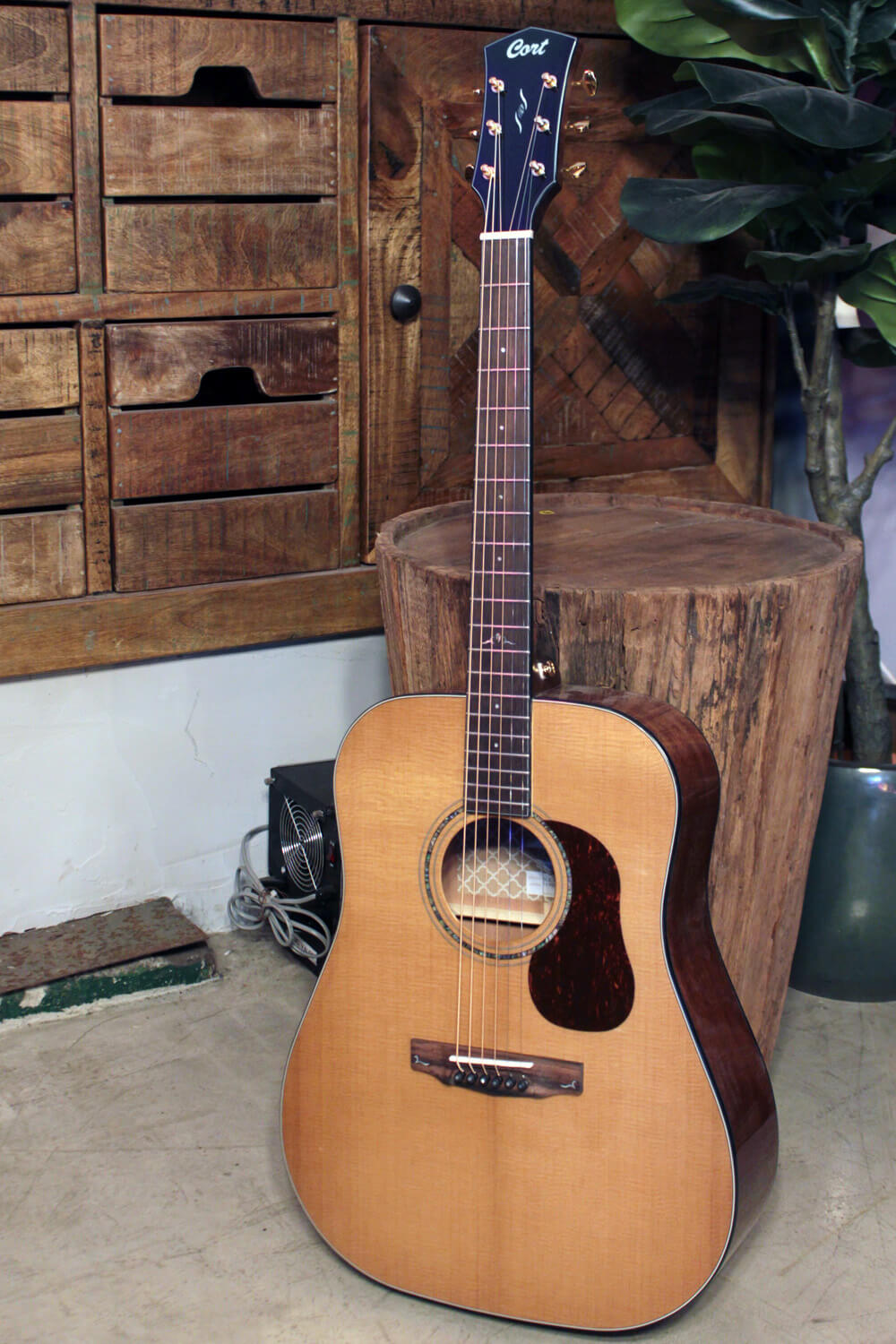 Cort Gold-D6 – Massief Mahonie, Torrefied Sitka & Puur Akoestisch