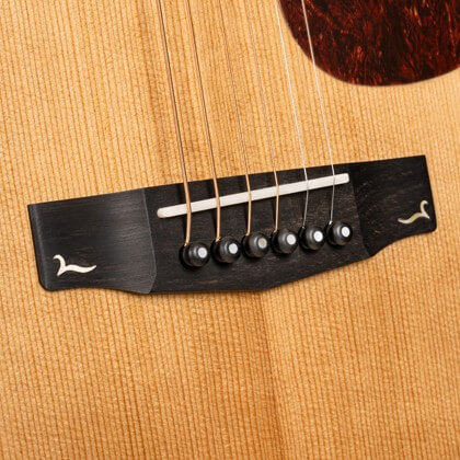 Cort Gold-OC6 – Massief Mahonie, Torrefied Sitka & Fishman Flex Blend