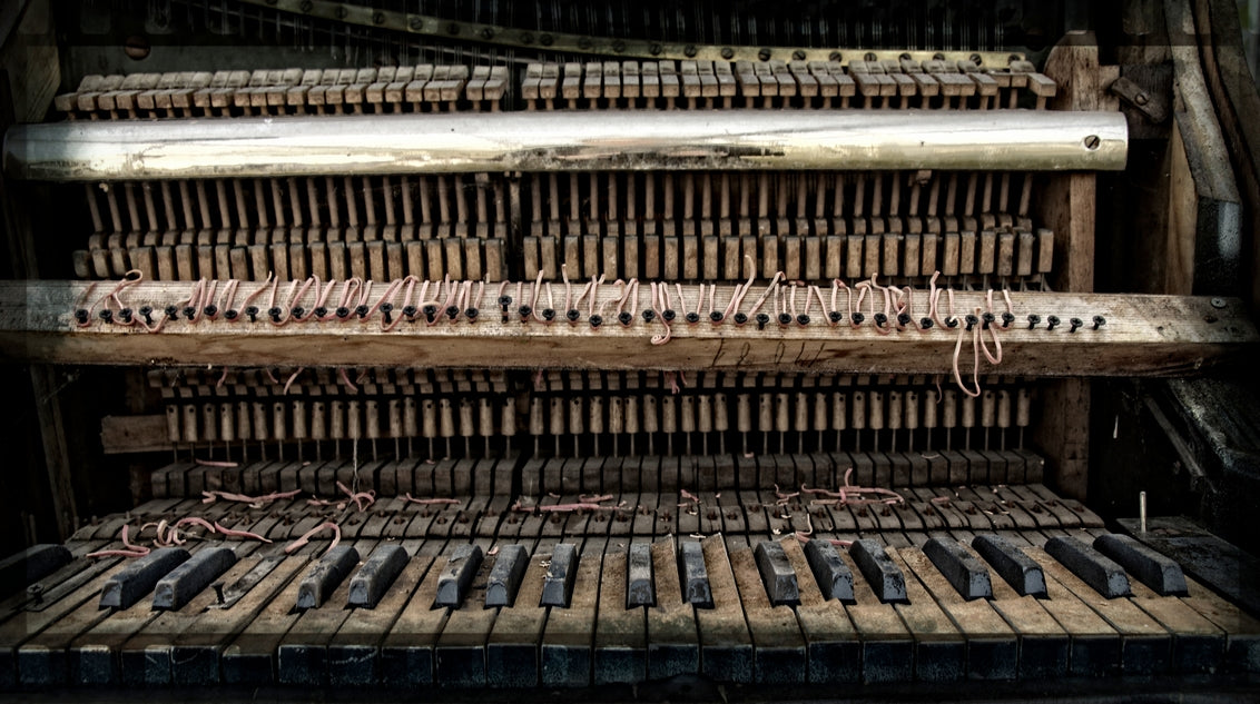 De Evolutie Piano: Een Reis door de Tijd van Toetsen