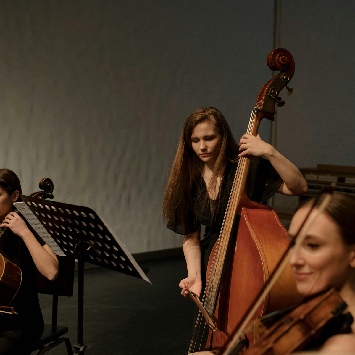 Vds Instrumento Alles wat je moet weten over de cello: een gids voor beginnende cellis ...
