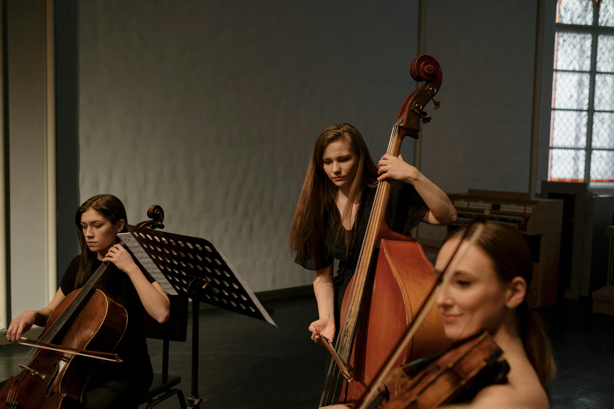 Vds Instrumento Alles, was Sie über das Cello wissen müssen: Ein Leitfaden für Cello-A ...