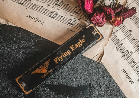 Welke mondharmonica past bij mij?