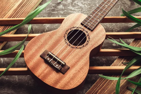 De beste online bronnen voor ukulele lessen