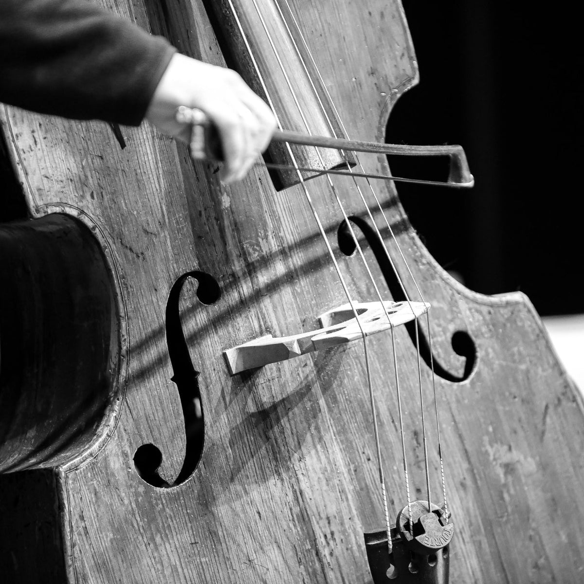 Welk instrument past bij jou? Een gids voor beginners – VDS instrumenten