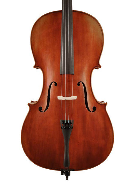 Strijkinstrumenten