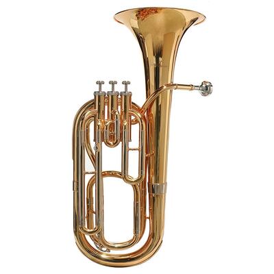 Tenorhoorns