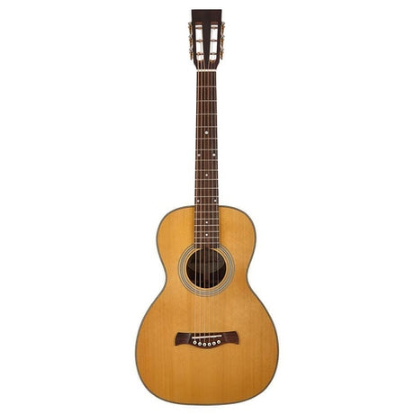 Parlor gitaren