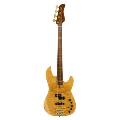 Vds Instrumento Basgitaar kopen? | VDS instrumenten