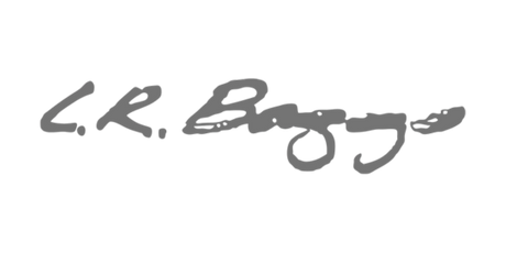 LR Baggs
