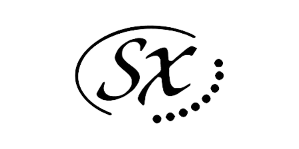SX Guitars | Japanse kwaliteit | Betaalbare Kwaliteit voor Elke Gitarist –  VDS instrumenten