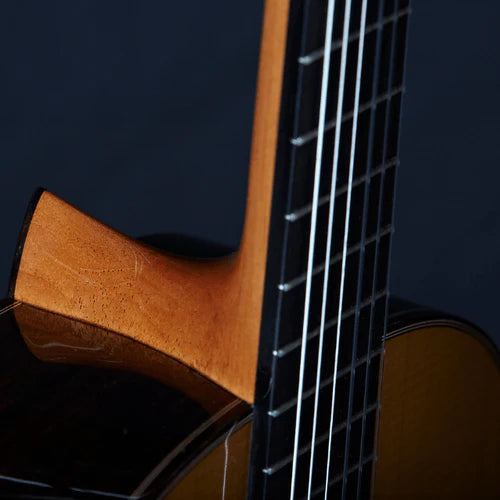 Alhambra José Miguel Moreno Serie C concertgitaar, massief ceder, massief Indiaas palissander