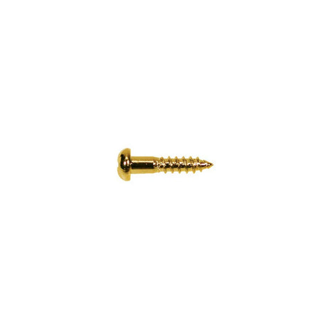 Boston WS-02-G screw, 2,1x10mm, 12pcs, dome head, gold