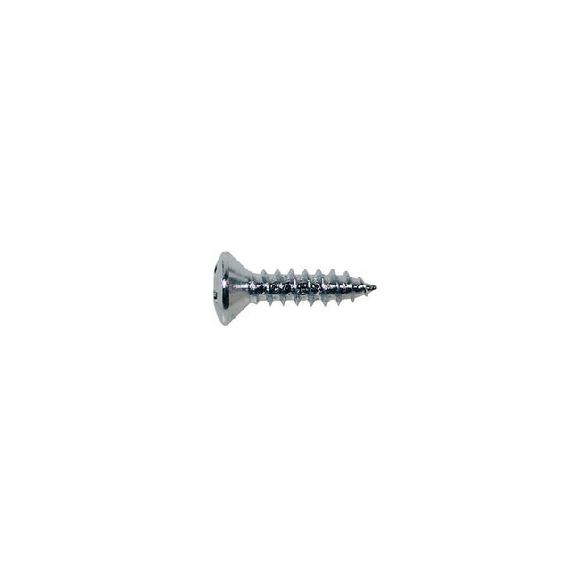 Boston TS-01-C screw, 3x12mm, 12pcs, oval countersunk, tapping, for pickguard, chrome