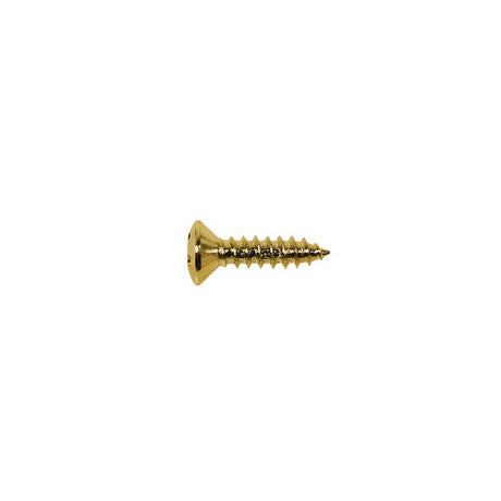 Boston TS-01-G screw, 3x12mm, 12pcs, oval countersunk, tapping, for pickguard, gold