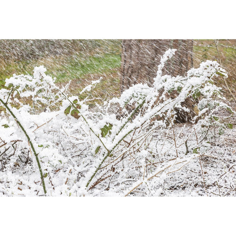 beamZ Pro SNOW 5000 Professionele Hoogvolume Sneeuwmachine met DMX – 20L Tank