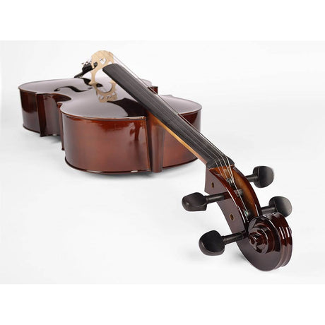 Leonardo LC-2044 cello set 4/4, geheel massief, nitro, ebben toebehoren, inclusief tas en strijkstok