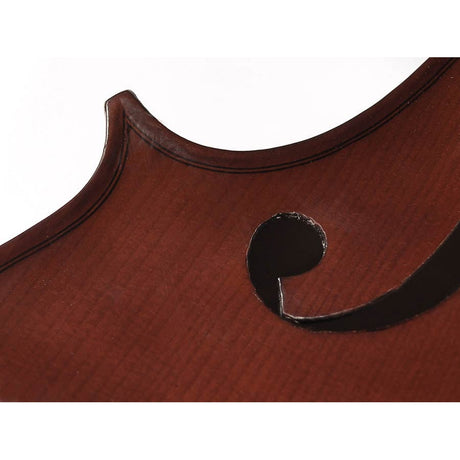 Leonardo LC-2010 cello set 1/10, geheel massief, nitro, ebben toebehoren, inclusief tas en strijkstok