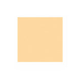 Boston PG-133-C pickguard material, 1 ply, 30x29cm, cream