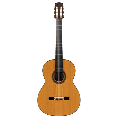 Salvador Cortez CC-110 – Klassieke gitaar met massief ceder bovenblad en palissander body