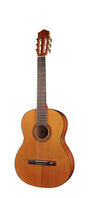 Salvador Cortez CC-10-BB Klassieke Gitaar – Student Series 1/2 Bambino Hoogglans