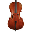 Scott Cao STC150 cello set 4/4, ebb& toets en ebben toebehoren, inclusief tas en strijkstok