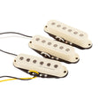 Fender 992105000 pickup set Custom Shop parchment Stratocaster® Hot Noiseless™