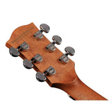 Richwood D-20-E Master Series Dreadnought Gitaar met Element – Inclusief Stemapparaat & Luxe Standaard