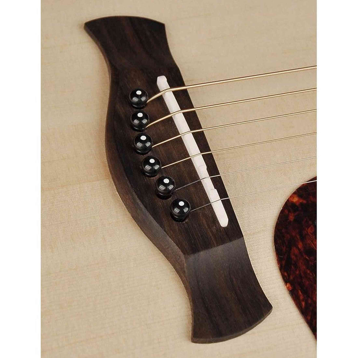 Richwood D-20-E Master Series Dreadnought Gitaar met Element – Inclusief Stemapparaat & Luxe Standaard