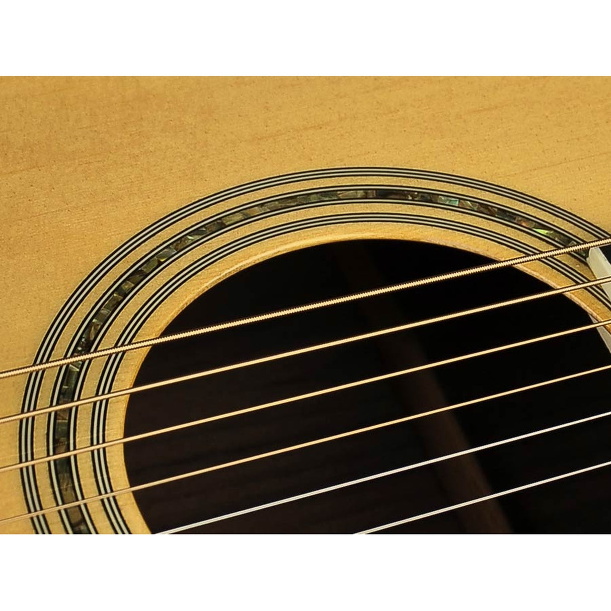 Richwood D-70-CEVA Master Series handgemaakte dreadnought Semi Akoestisch