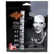 Rotosound BS66 BILLY SHEEHAN SIGNATURE Swing Bass 66 snarenset basgitaar