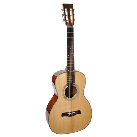 Richwood P-40 Master Series handgemaakte Parlor gitaar