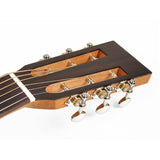 Richwood P-40 Master Series handgemaakte Parlor gitaar